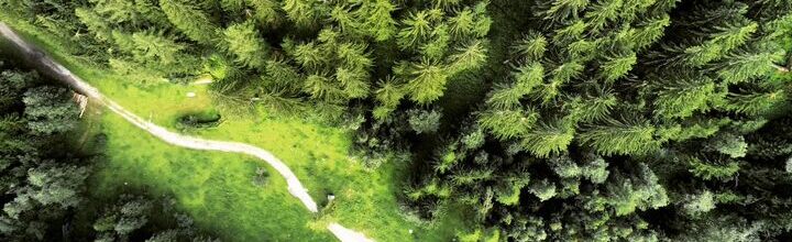 Titelbild der Firma INNIO Group