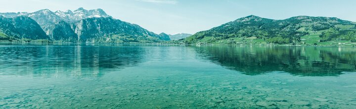Titelbild der Firma Gemeinnützige SiedlungsgesmbH