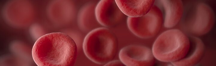 Titelbild der Firma on point medicals GmbH