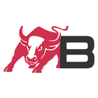 Logo der Firma Banner Group